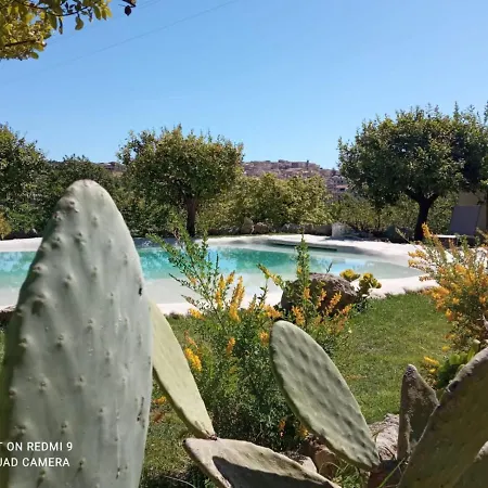 Il Primo Fiore Noto