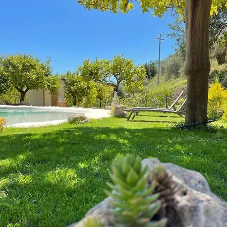 Hébergement de vacances Il Primo Fiore *