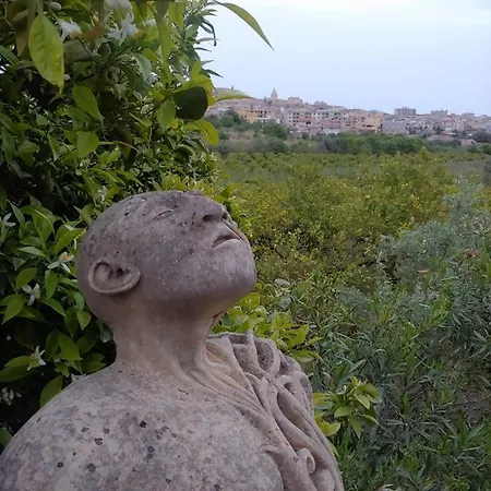 Il Primo Fiore *