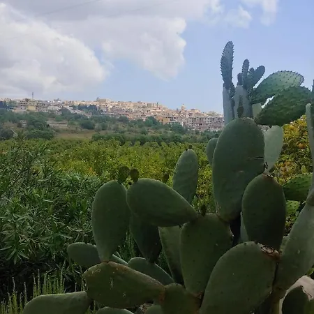 Il Primo Fiore * Noto