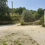 Il Primo Fiore