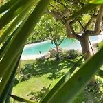 Il Primo Fiore Noto