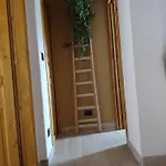Il Primo Fiore Noto
