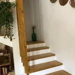 Il Primo Fiore Tatil Evi *