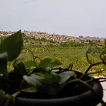 Tatil Evi Il Primo Fiore Noto