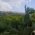 Il Primo Fiore * Noto