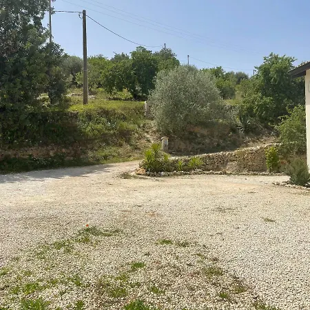 Il Primo Fiore