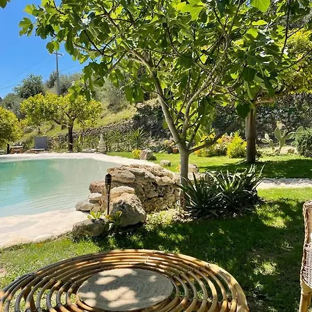 Il Primo Fiore Casa vacanze *