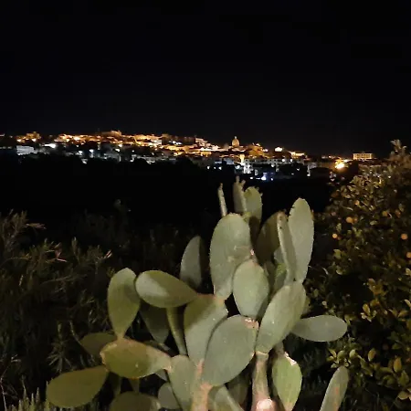 Il Primo Fiore Noto