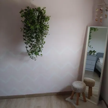 Il Primo Fiore *