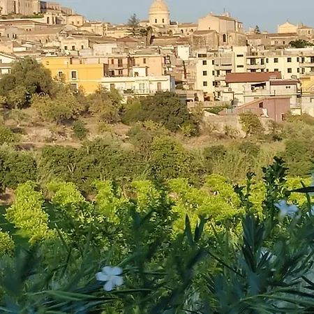 Il Primo Fiore *